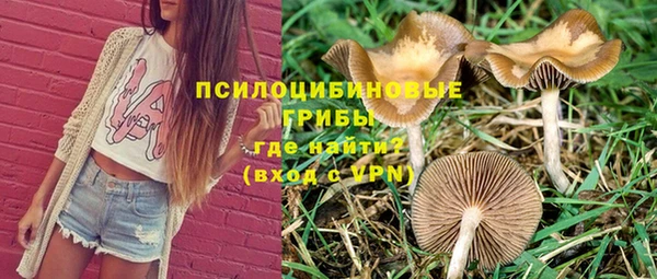 ПСИЛОЦИБИНОВЫЕ ГРИБЫ Краснослободск