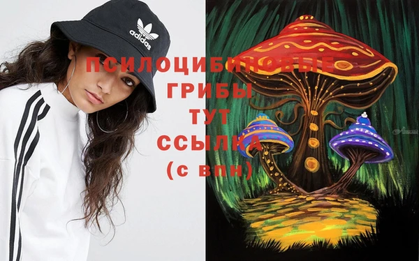 ПСИЛОЦИБИНОВЫЕ ГРИБЫ Краснослободск