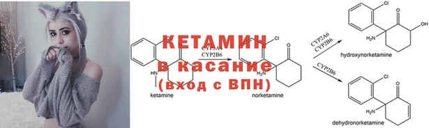 ПСИЛОЦИБИНОВЫЕ ГРИБЫ Краснослободск