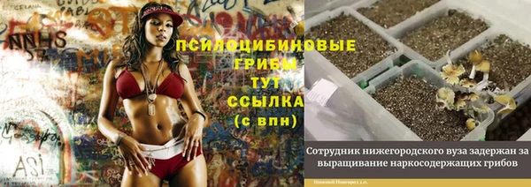 ПСИЛОЦИБИНОВЫЕ ГРИБЫ Краснослободск